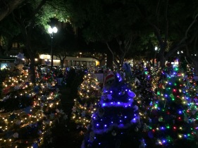 Über 500 Weihnachtsbäume verbreiten märchenhafte Stimmung